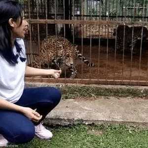 ناعومي على وشك فقدان ذراعها