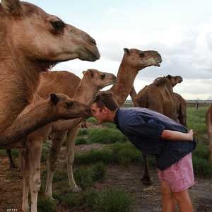 السلطات الأسترالية قررت حرق الجثث بعد قتلها