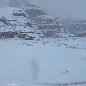 ثلوج على تبوك شمال السعودية