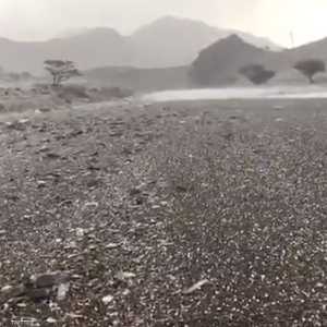 حبات البرد فوق أرض إمارة الفجيرة