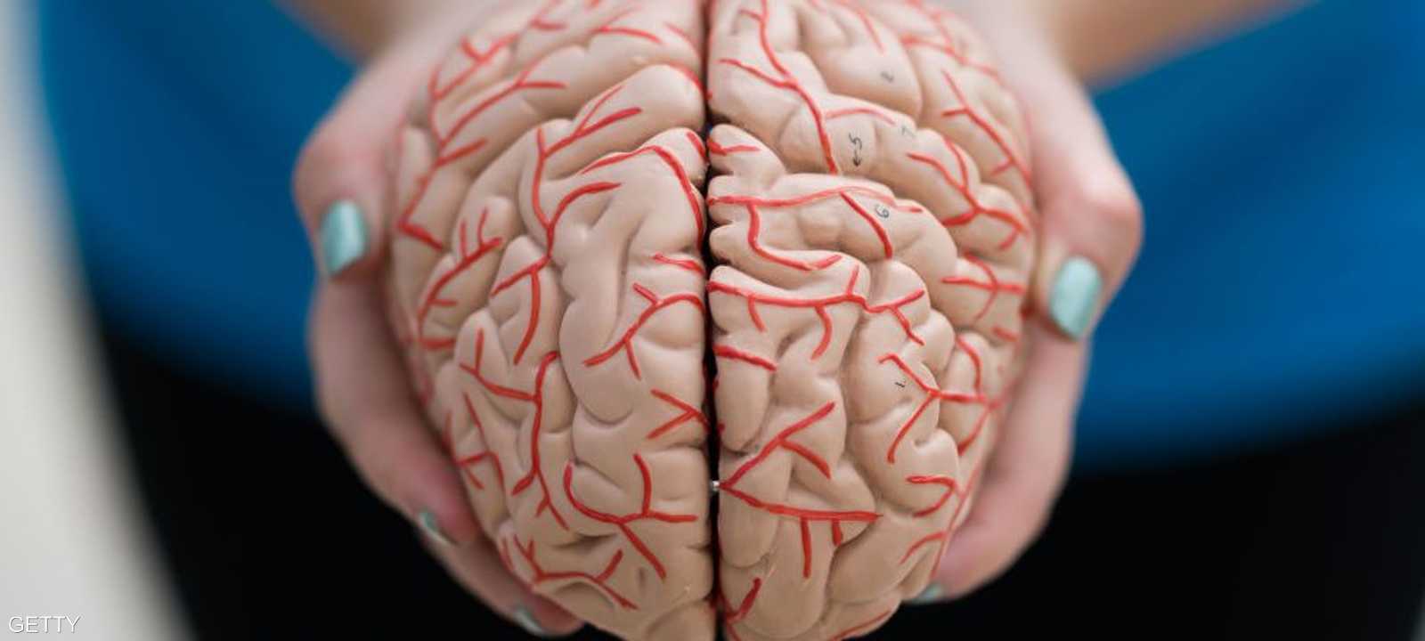 أظهرت دراسة طبية حديثة فوائد جديدة للرياضة تؤثر على الذكرة