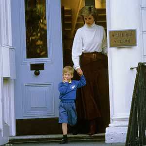 هاري وديانا.. التاريخ يعود جديد