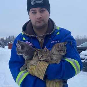 الكندي كيندال ديوش