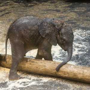 عملية الإنقاذ استغرقت ساعتين. أرشيف