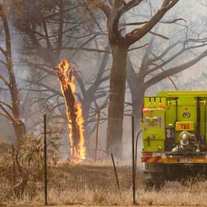 دمرت الحرائق أكثر من 112 ألف كيلومتر مربع من الأراضي