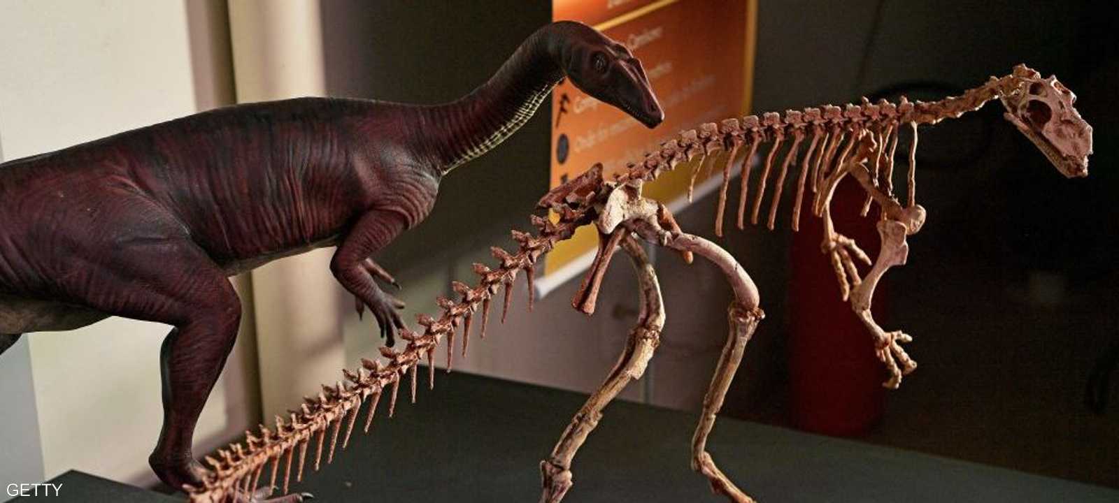 صورة أرشيفية لهيكل عظمي لديناصور