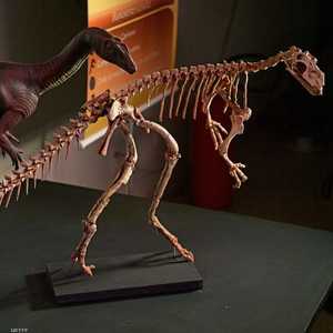 صورة أرشيفية لهيكل عظمي لديناصور