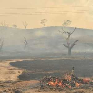 السلطات حذرت من دخان الحرائق جنوبي العاصمة كانبيرا