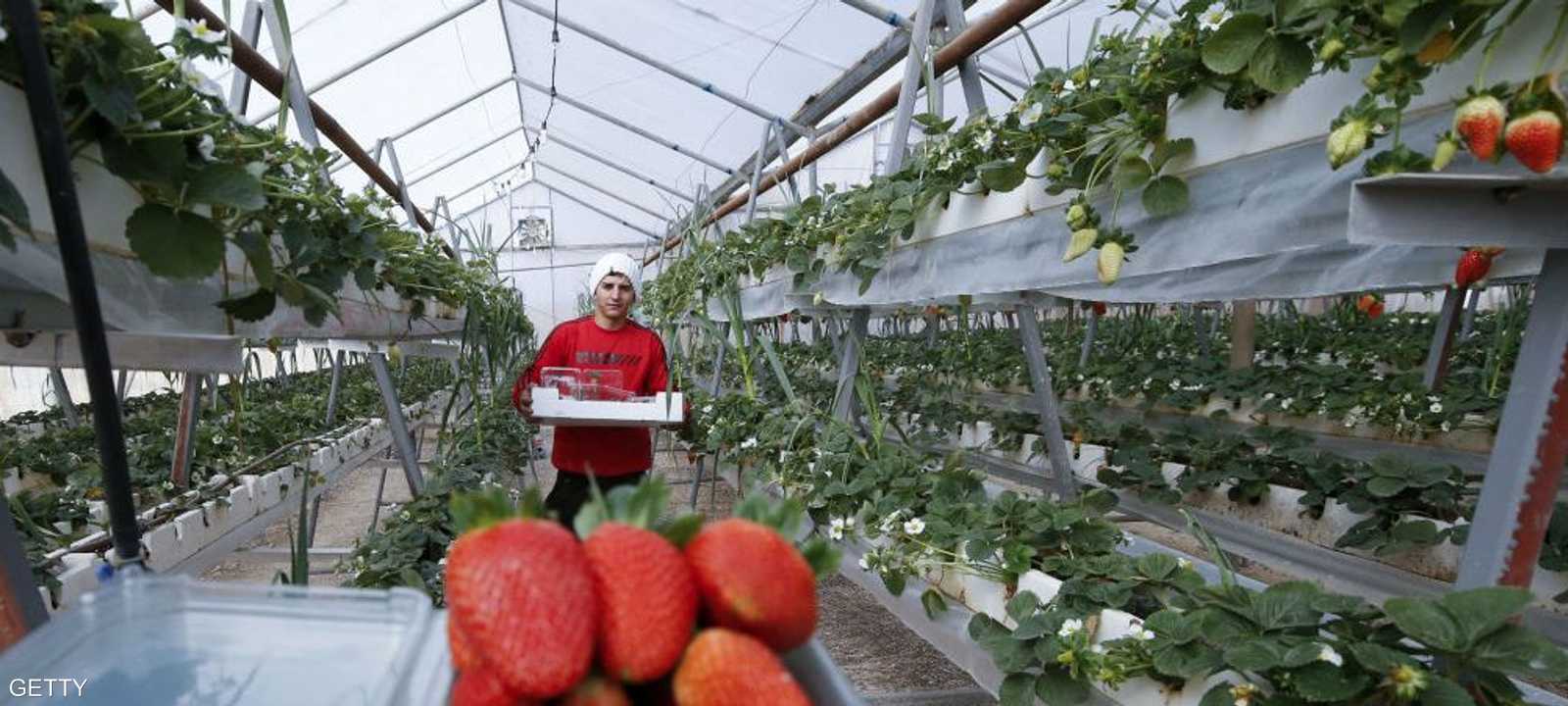 الخطة الفلسطينية جاءت ردا على خطة إسرائيلية مشابهة.