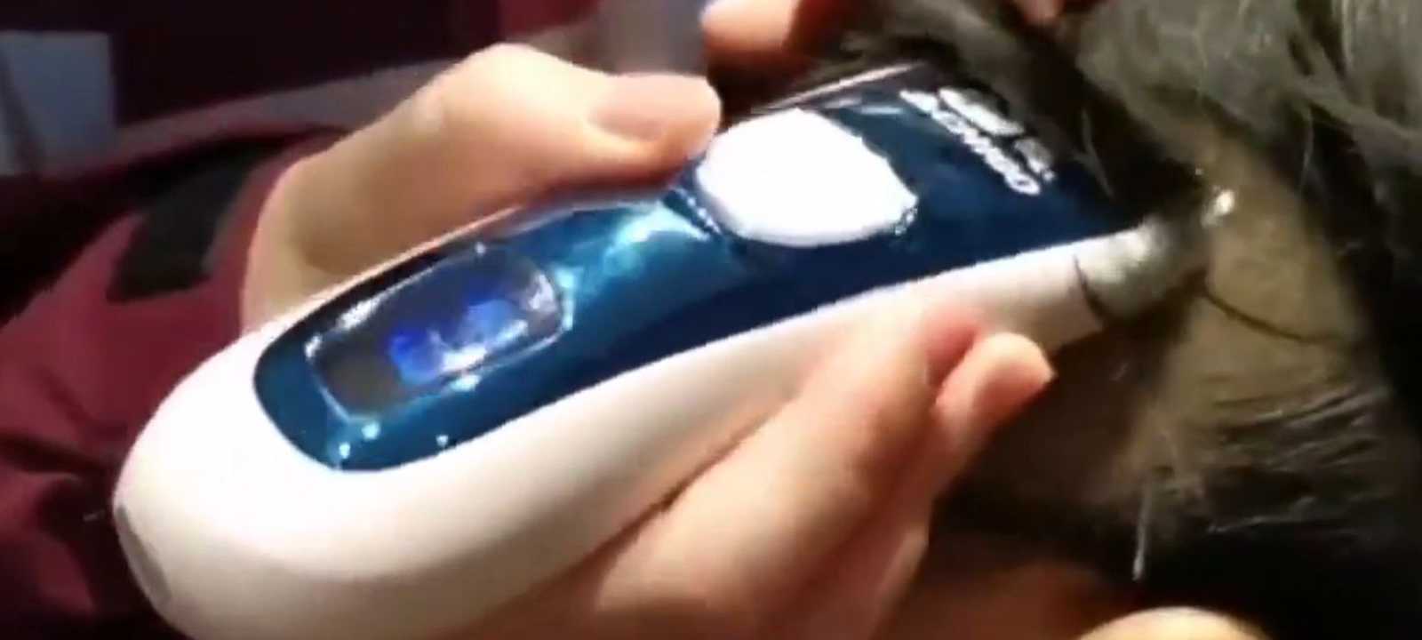 الممرضات ضحين بشعورهن من أجل مكافحة المرض