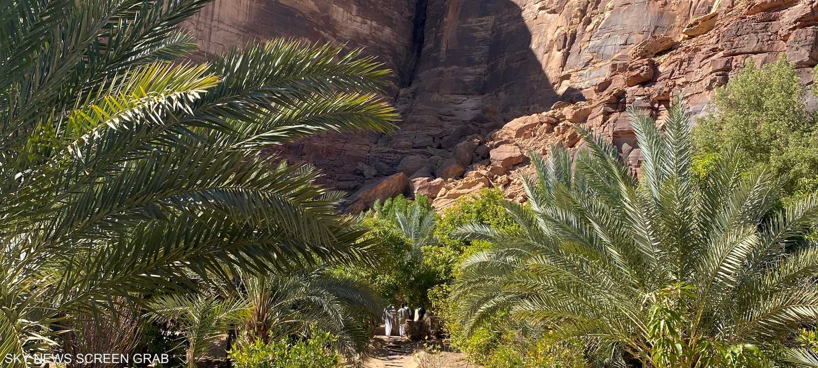 تشتهر العلا بتمورها التي تنتشر مزارعها في أنحاء المدينة