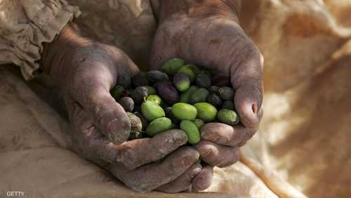 تشتهر الأراضي الفلسطينية بإنتاج زيت الزيتون الذي يصدر للعالم