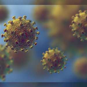 فيروس كورونا المستجد أصاب العالم بالذعر