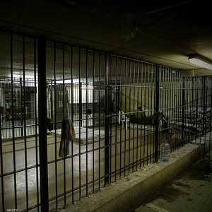 سارع الشقيق الموقوف بعد الحادثة إلى الفرار. أرشيف