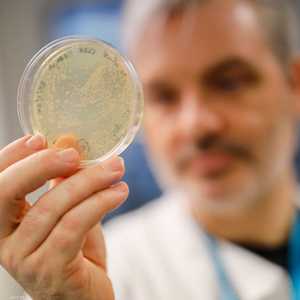 بريطانيا سجلت تسع إصابات حتى الآن