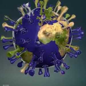 عدد الوفيات بسبب فيروس كورونا في الصين بازدياد.