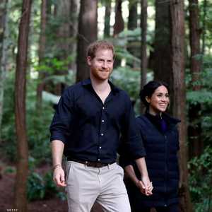 الأمير هاري وميغان ماركل