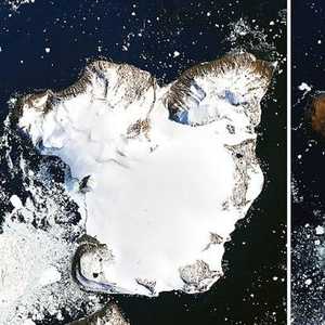 الفرق بين الصورتين أسابيع