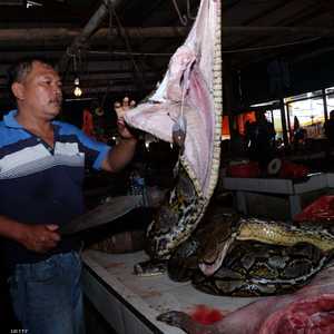 الصين تسعى بكل الطرق لوقف تجارة واستهلاك الحيوانات البرية