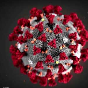 أعلنت السلطات الجزائرية وضع المصاب في عزل صحي.