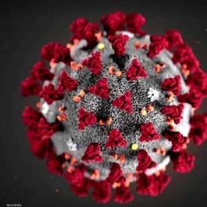 فيروس كورونا يثير قلقا عالميا