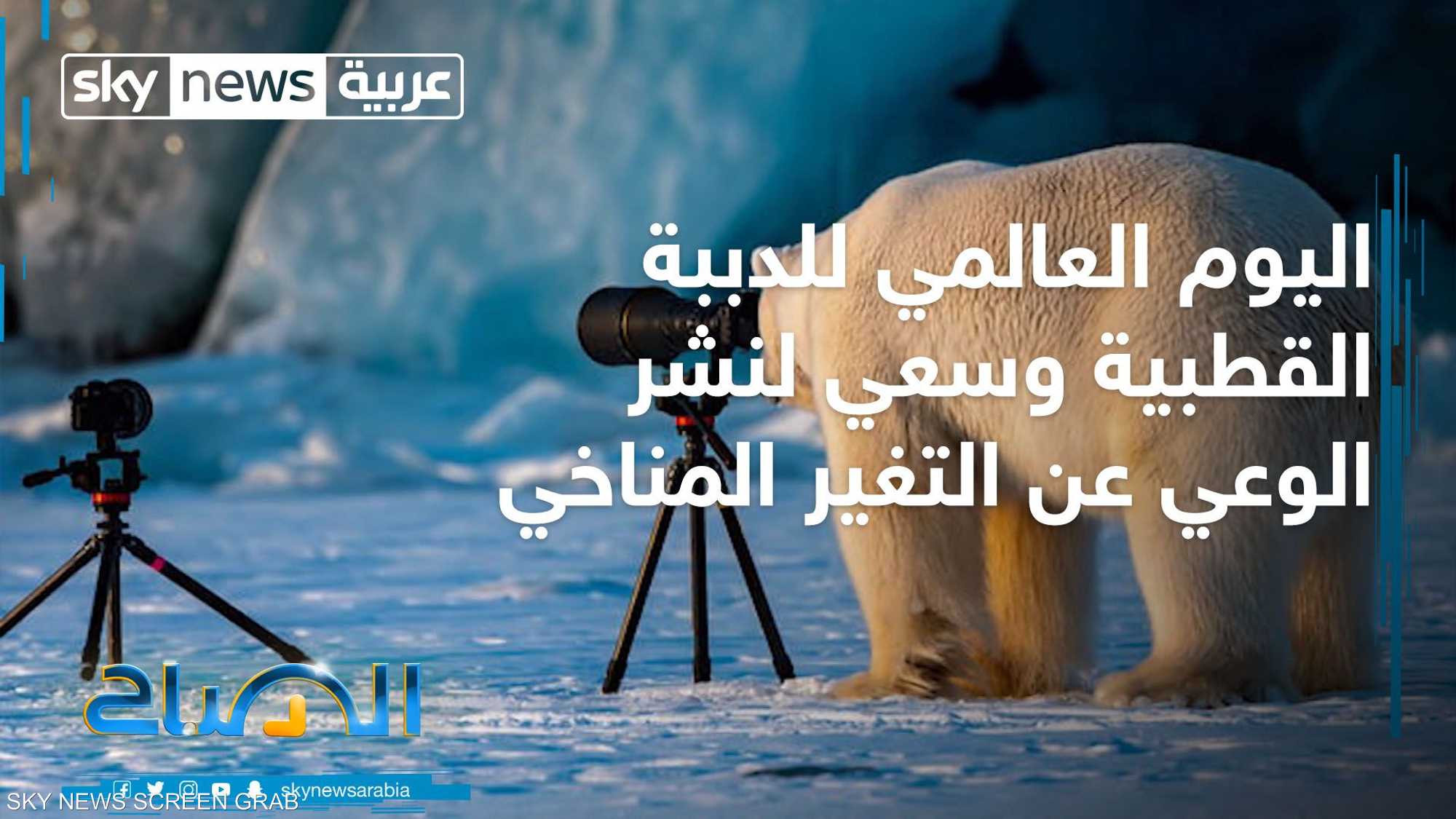 اليوم العالمي للدببة القطبية يسعى لنشر الوعي بشأن المناخ