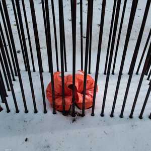 أقر القانون بتأييد 38 نائبا ومعارضة 27.