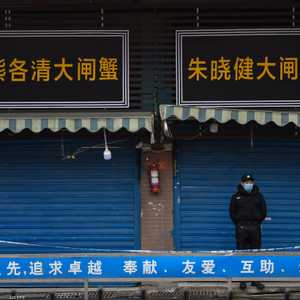 ووهان كانت مصدر فيروس كورونا