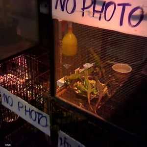 لقطة من الفيديو