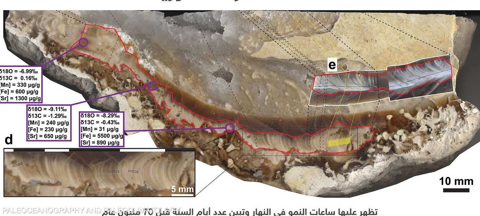 الصدفة كشفت للعلماء أن ساعات اليوم كانت أقصر