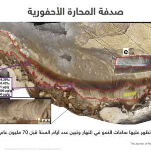 الصدفة كشفت للعلماء أن ساعات اليوم كانت أقصر