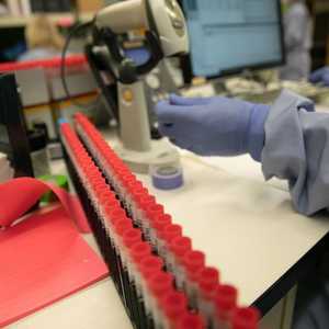 التجربة جرت في مدينة سياتل