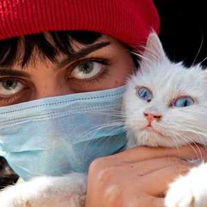 إصابات الحيوانات بكورونا نادرة