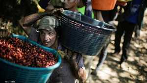 عمال في مزرعة قهوة في كوستاريكا