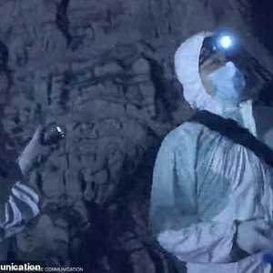 اصطياد خفافيش