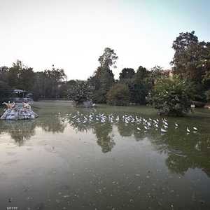 جانب من حديقة الجيزة للحيوانات (أرشيفية)