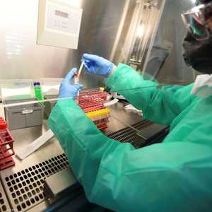 أصل فيروس كورونا لا يزال مجهولا حتى الآن