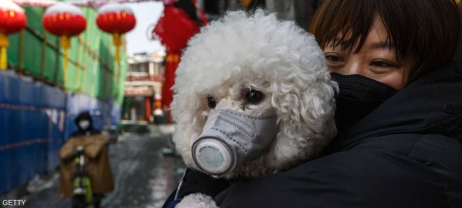 لا يوجد حتى الآن دلائل على نشر الحيوانات المنزلية للعدوى