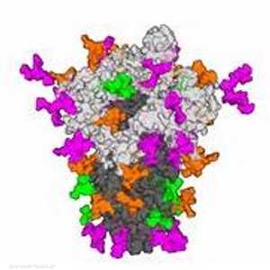 أجريت الدراسة في جامعة ثاوثهامتون البريطانية