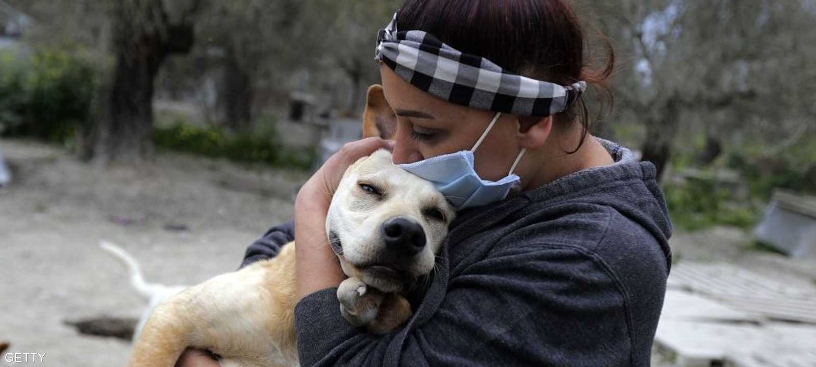 أرشيفية.. الكلاب ليست عرضة للإصابة بكورونا وفق دراسة