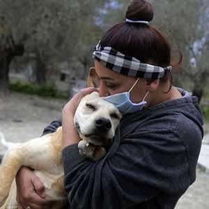 أرشيفية.. الكلاب ليست عرضة للإصابة بكورونا وفق دراسة
