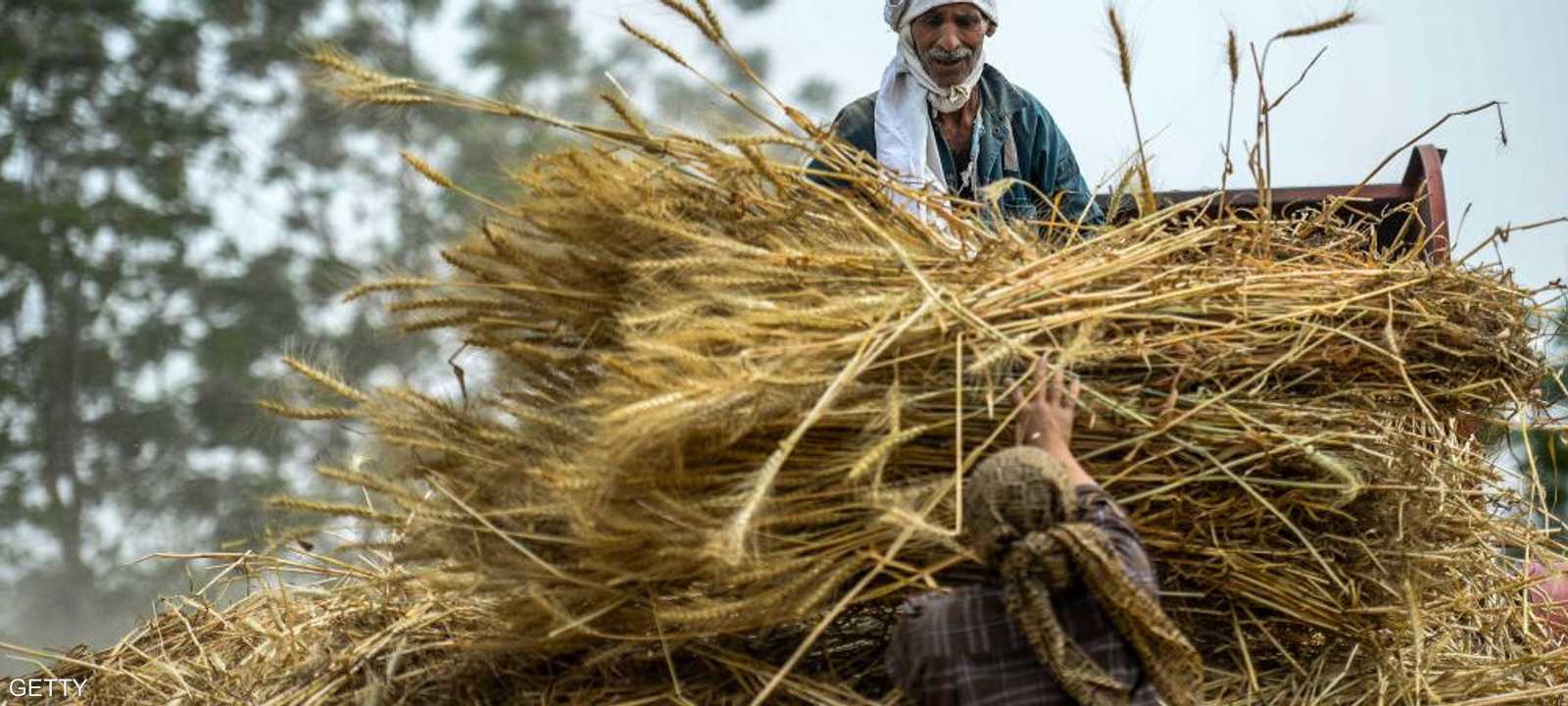 الرئيس المصري دعا إلى زيادة المخزونات