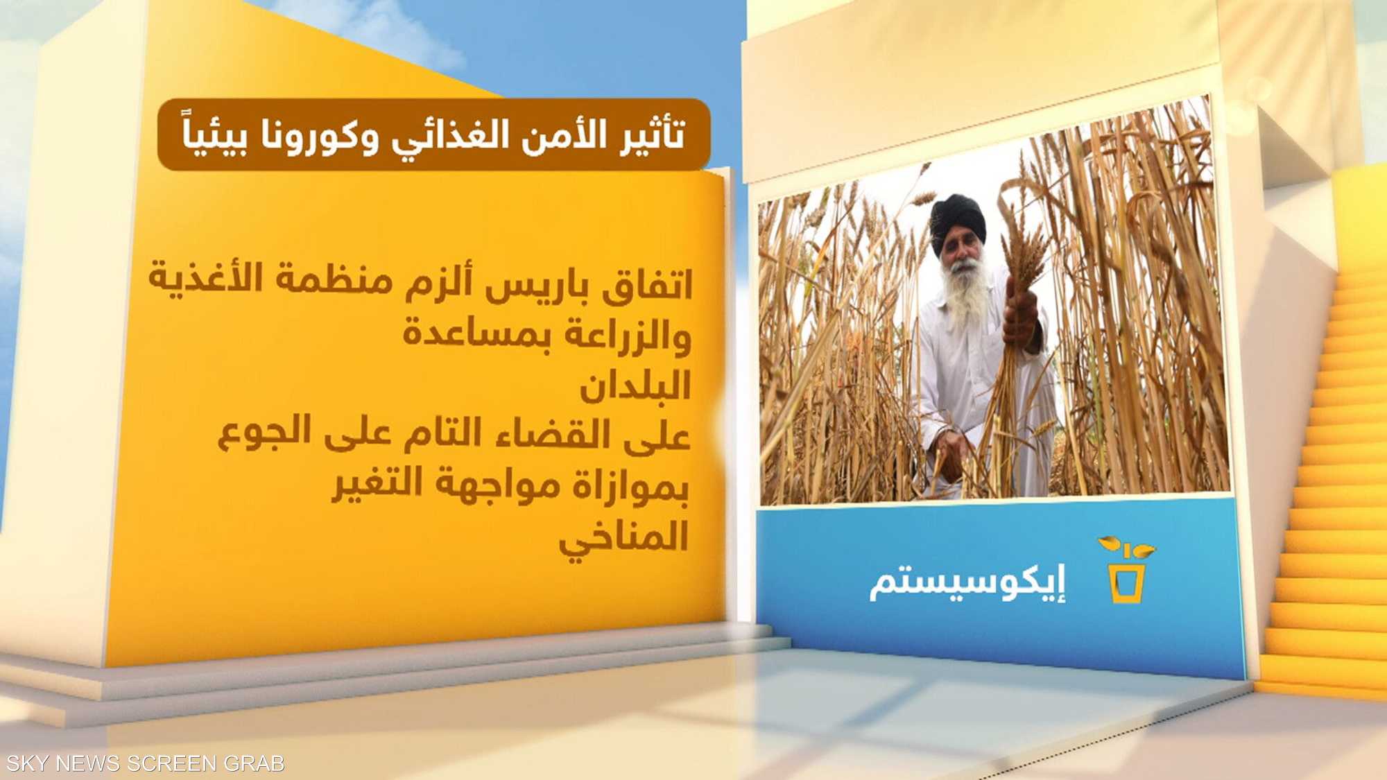كيف تؤثر أزمتا نقص الغذاء وتفشي كورونا على البيئة؟
