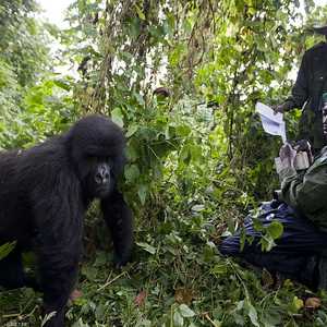 التحقيقات تجري للعثور على الجناة