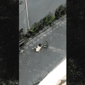 قرد على دراجة يحاول "خطف" طفل.. وفيديو يوثق الواقعة