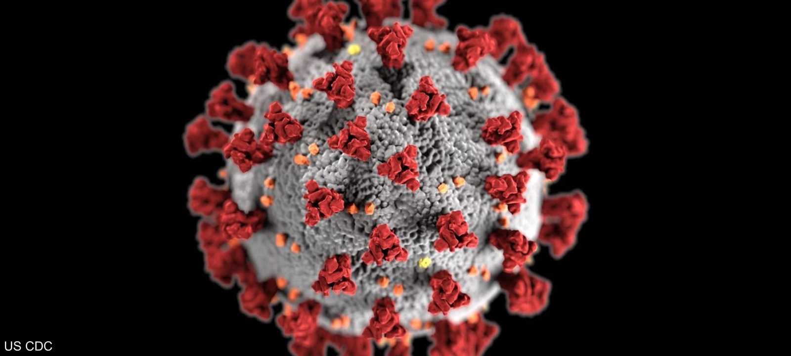 الدراسة أجريت في الولايات المتحدة