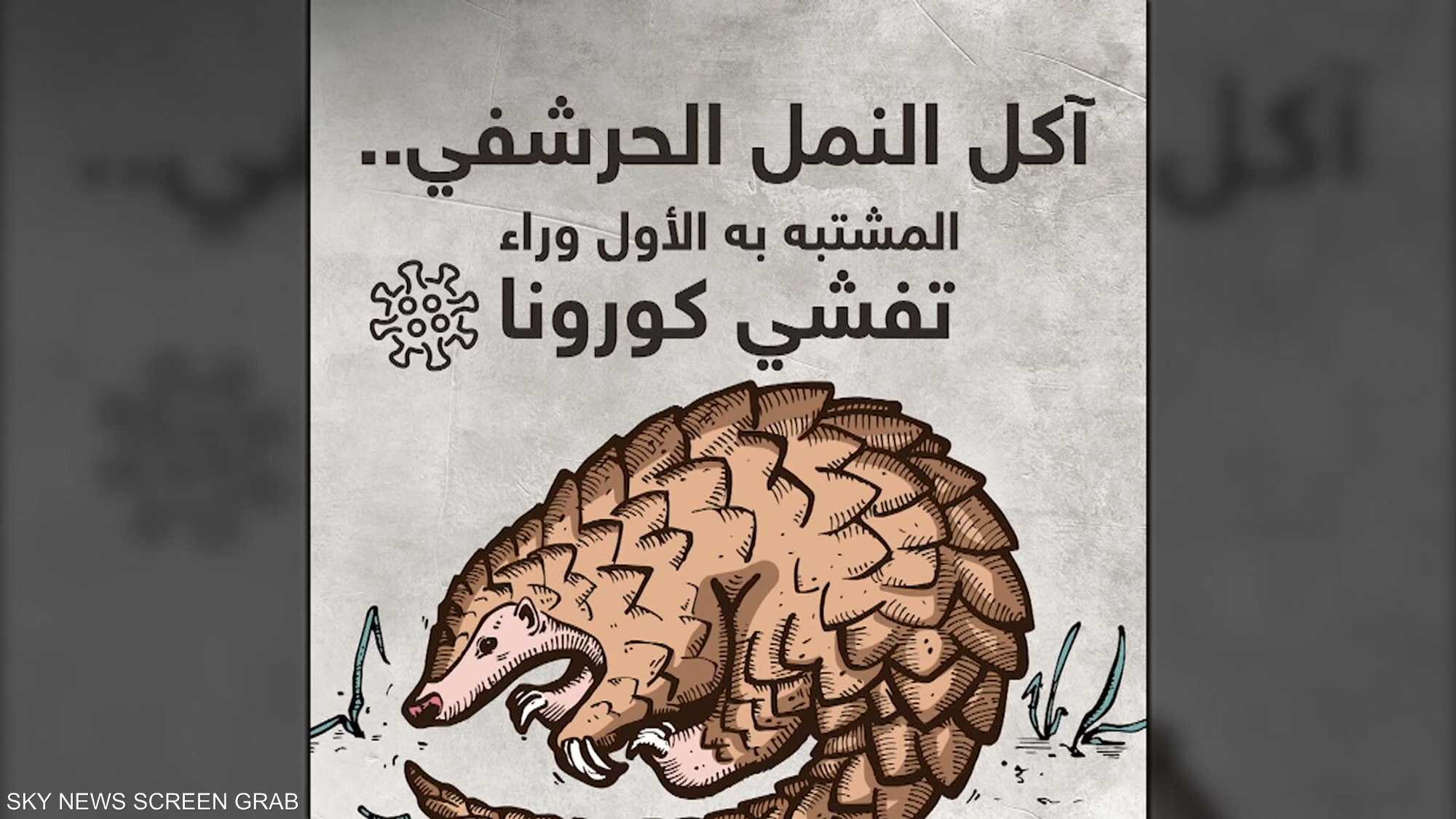 استمرار بيع آكل النمل الحرشفي بصورة غير قانونية