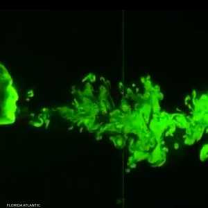 الرذاذ يمكن أن يطير لما يقترب من 4 أمتار