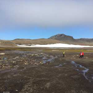 القارة القطبية الجنوبية.. بلا كورونا