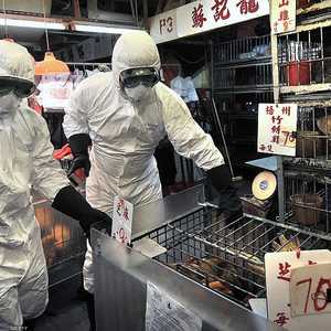 أسواق الحيوانات الحية مهمة لتقديم الغذاء